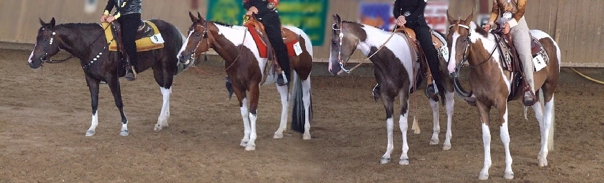 BayernPaint 2007 in Ottobeuern / Luna-Cherokee-Jack-? 4 Paint Horses auf einem Turnier
